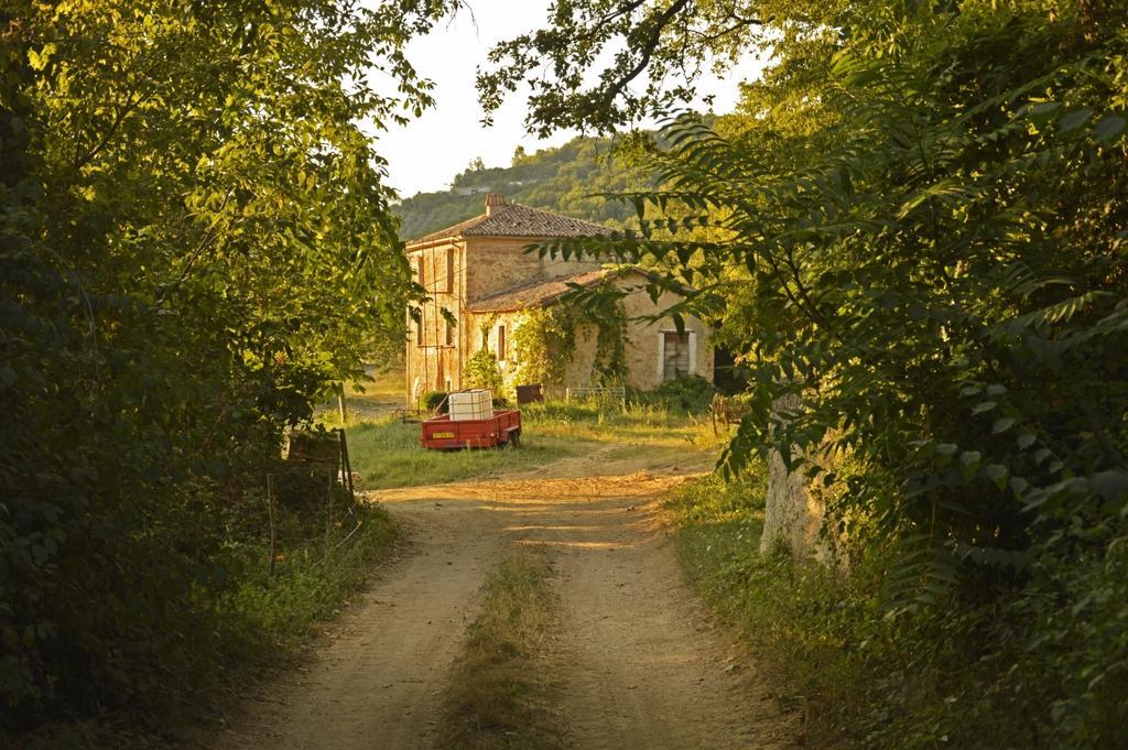 Agriturismo Cardito Santa Rufina المظهر الخارجي الصورة