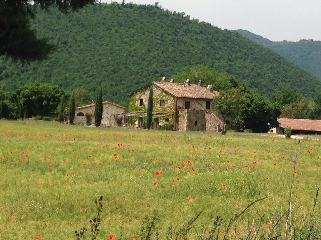Agriturismo Cardito Santa Rufina المظهر الخارجي الصورة