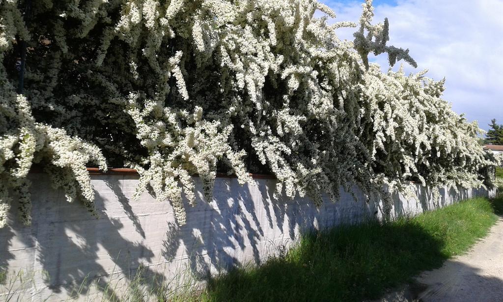 Agriturismo Cardito Santa Rufina المظهر الخارجي الصورة