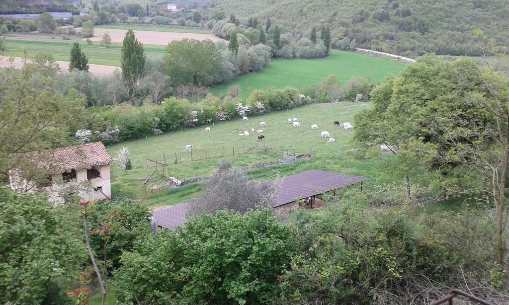 Agriturismo Cardito Santa Rufina المظهر الخارجي الصورة