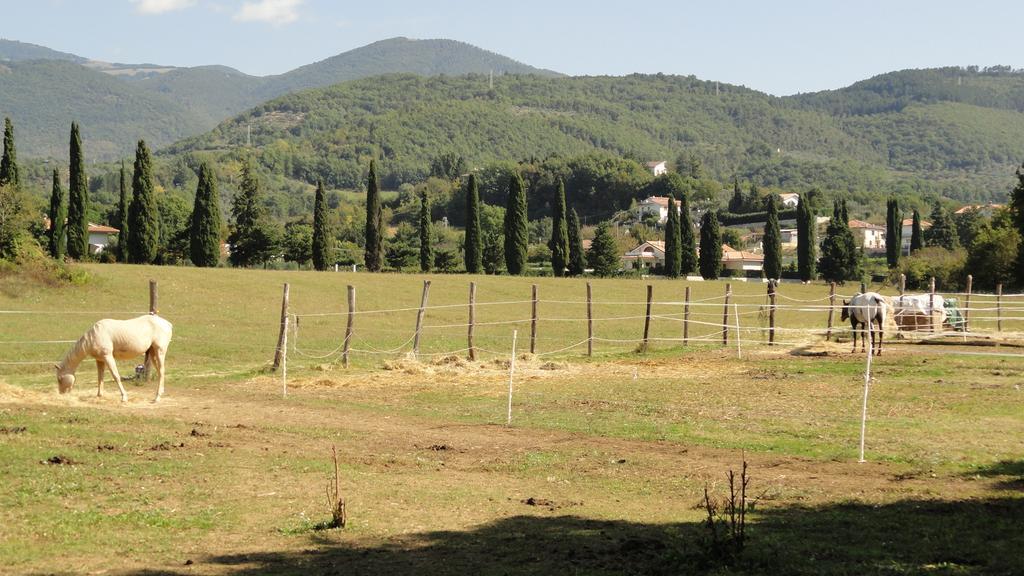 Agriturismo Cardito Santa Rufina المظهر الخارجي الصورة