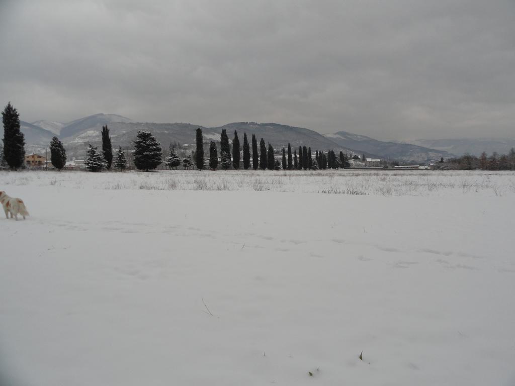 Agriturismo Cardito Santa Rufina المظهر الخارجي الصورة